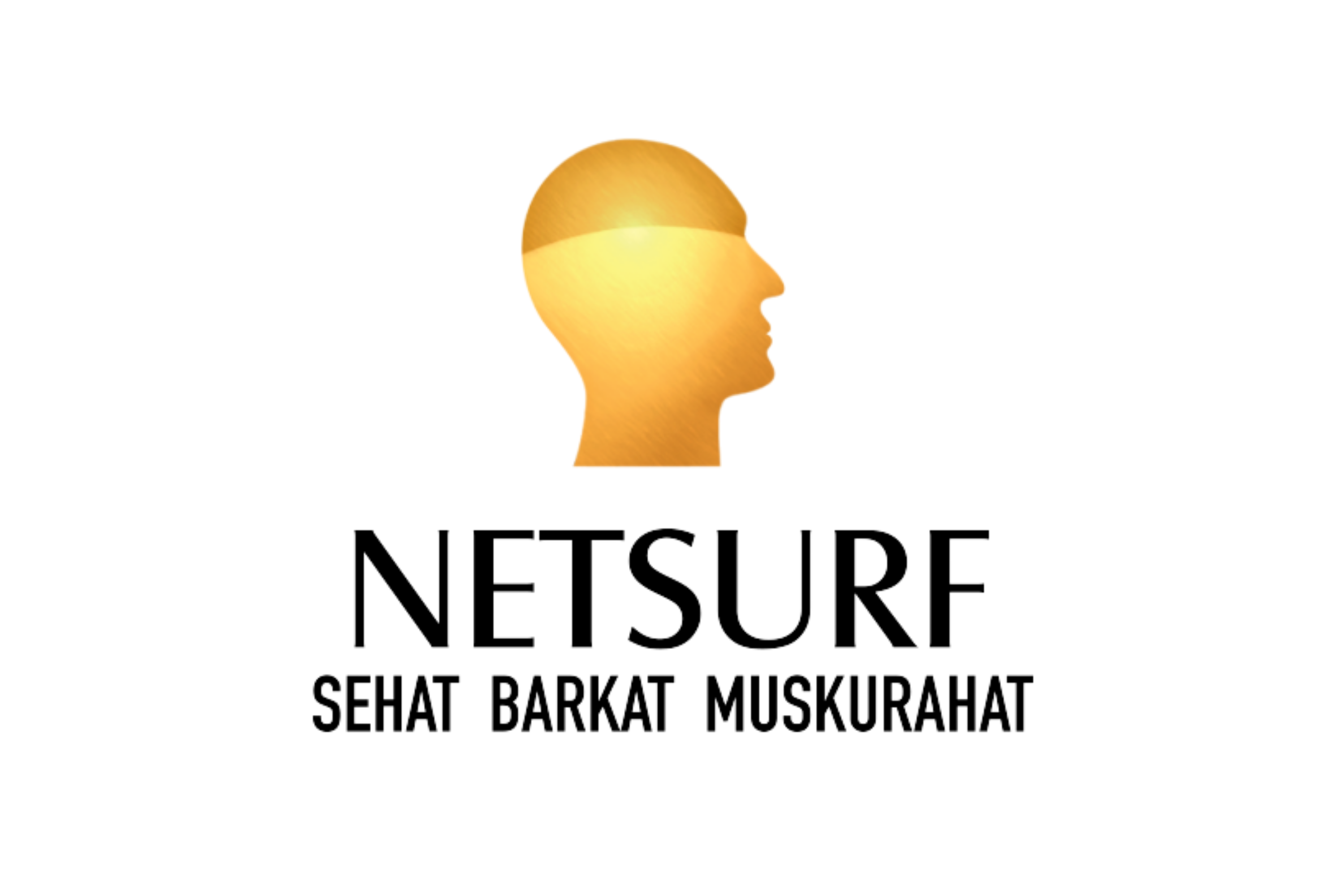 NETSURF